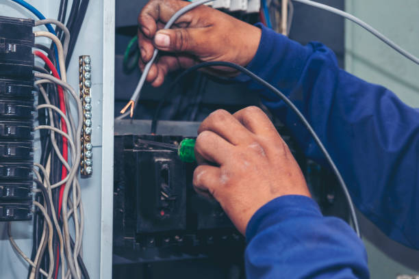 Best Electrical System Inspection  in Bamberg, SC